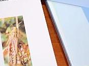 Publication l’Organisme version numérique chez Alter édition