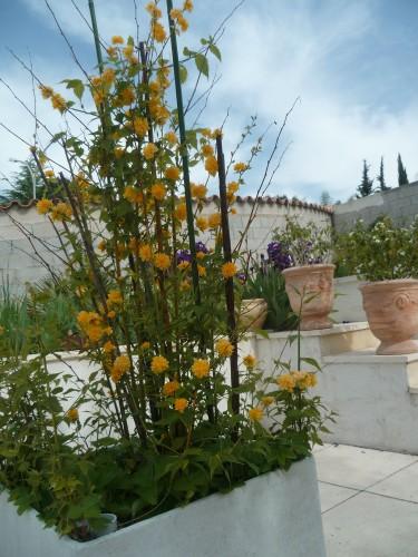 vacances,voyages,jardin,saisons,printemps,loisirs