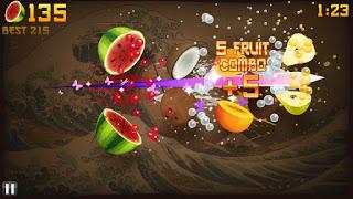 Fruit Ninja