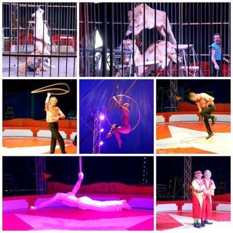 Le Stade de France fait son cirque Le Stade de France fait son cirque