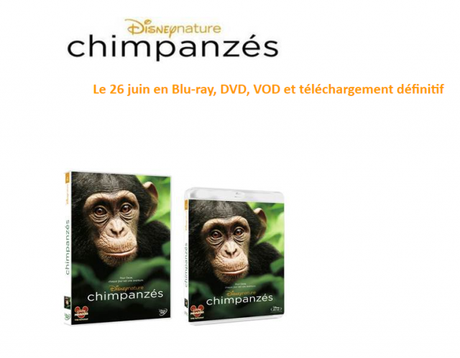Disneynature Chimpanzés : Le 26 juin en Blu-ray et DVD