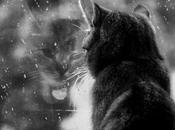 Lectures d'avril 2013