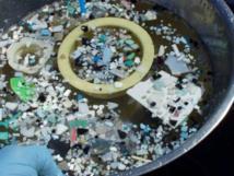  Pacifique : Un «continent de plastique» de 3,4 millions de km2