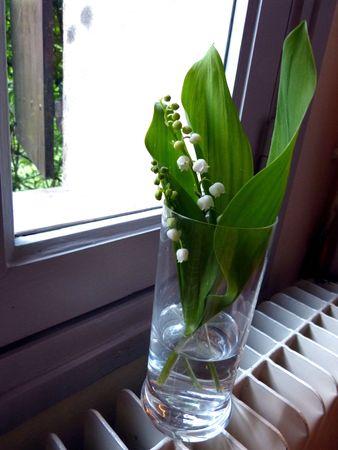 muguet 001