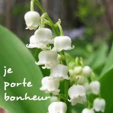 Après la pluie …le muguet