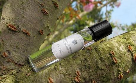 Beauté – Deauty Box d’avril & Les Eaux Diamantées de Vanessa Tugendhaft deauty-03