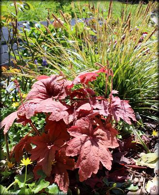 Nous voici déjà en Mai ! Le soleil de ces derniers jours ...