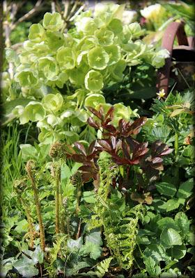 Nous voici déjà en Mai ! Le soleil de ces derniers jours ...