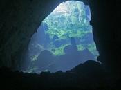 trouvé grotte vaste qu’elle contient forêt fleuve!