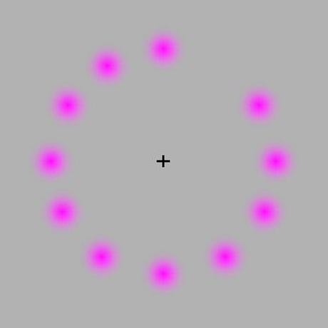 point-rose-illusion-1