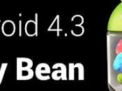 Android Jelly Bean