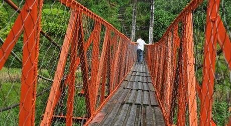 Etape 3 - Les rizières en terrasse de Banaue