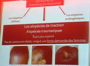 révolution PHYTOTRAXIL, premier anti-chute traction.