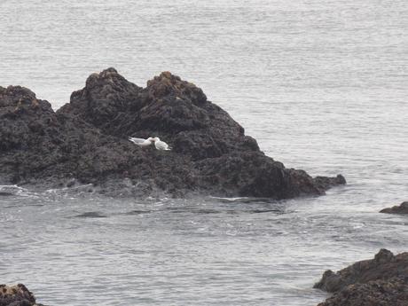 que d'eau, que d'eau...