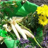 La fête de l’asperge des Landes à Pontonx