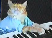 Warner accusée trop aimer chats