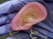 OUÏE: oreille bionique pouvait restaurer? Nano Letters