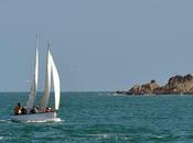 oiseaux marins phoques l'Archipel Sept-Îles