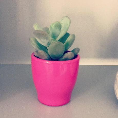 Le Samedi c'est Instagram Party!