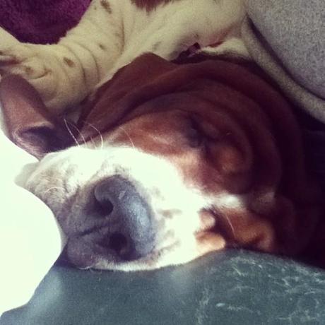 Le Samedi c'est Instagram Party!