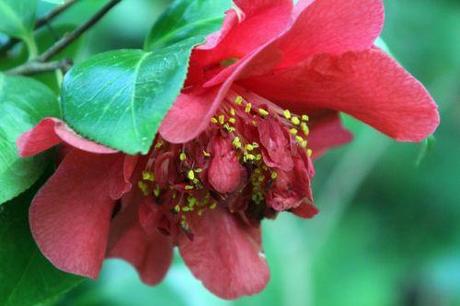 kramer's 3 mai 2013 011.jpg