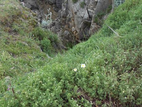 jean qui rit jean qui pleure