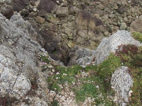 jean qui rit jean qui pleure