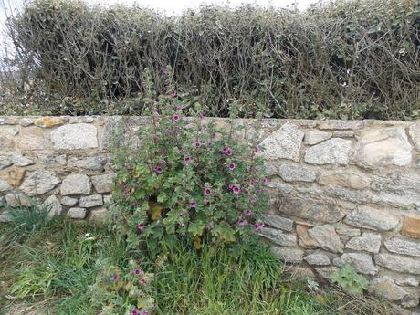 jean qui rit jean qui pleure