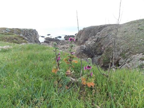 jean qui rit jean qui pleure