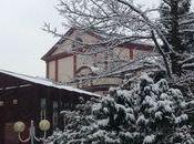 massacre arbres parc Steinbach @JeanRottner commencé douce #Mulhouse