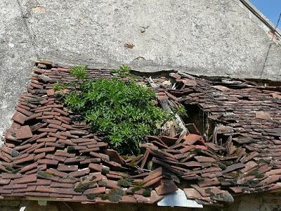 Gargilesse - Dampierre