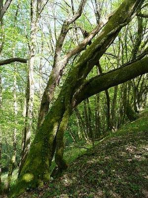 Gargilesse - Dampierre