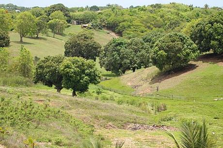 chambres-de-cote 0911