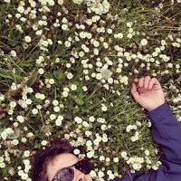 Les Photos du Dimanche #70