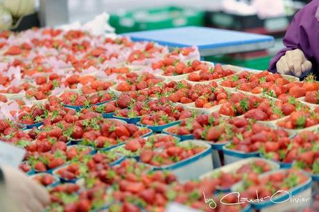 Une journée au paradis à Brent!