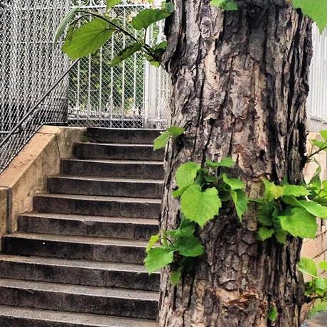 Ma semaine en mots et photos instagram (77)