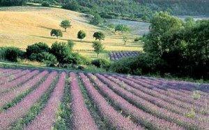 Une VIe République ou une révolution culturelle ?