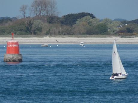 le golfe, avec des bosses mais  sans les trous