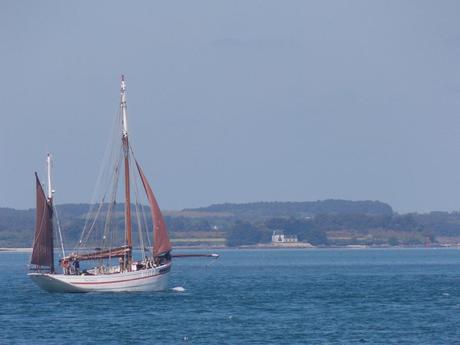 le golfe, avec des bosses mais  sans les trous