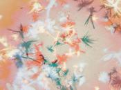 Bibio silver wilkinson bucolique originalement folk