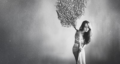 Barbaros CangürgelVignette