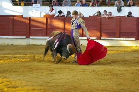 934628_4424034332964_1678004898_n