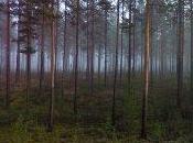 Rafman google street musée