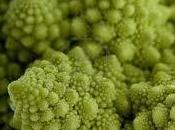 GRATIN CHOU FLEUR BROCOLIS thermomix