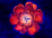 Flight Facilities don’t Believe