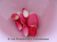 Taboulé au Fonio, lentilles corail et radis