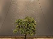 PHOTOGRAPHIE ‘Hossein Zare’, photographe minimaliste