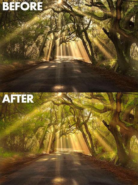 Michael Woloszynowicz