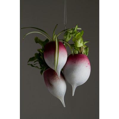 Vous aimez les radis ?