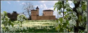 Le labyrinthe végétal du château Saint-Bernard élu Jardin de l’année 2013